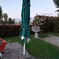 Foto di lavoro caricata dall'app: ombrellone e giardino